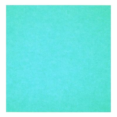 Fireproof Acoustic Panel Sound Insulation PET Felt Acoustic Board for Customized Size