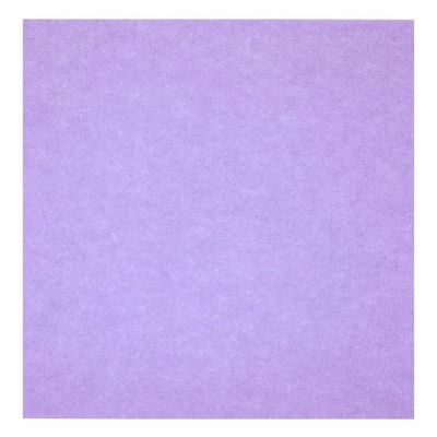 Fireproof Acoustic Panel Sound Insulation PET Felt Acoustic Board for Customized Size